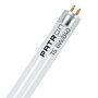 Patron Tubo Fluorescente 6W 4000K 260lm T5 G5 Luz Día 21cm