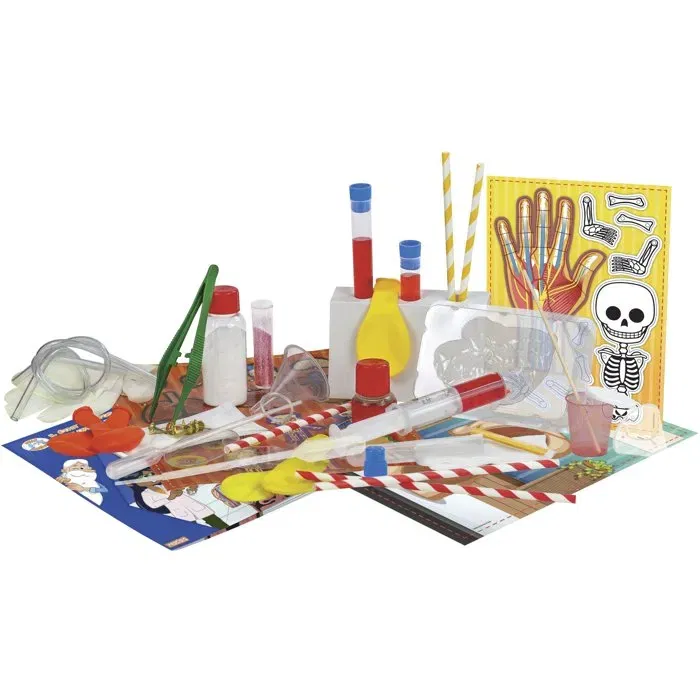 HOLA MAESTRO SIL3700994305804 Descubriendo el cuerpo humano