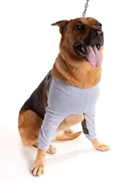 PETMED Protector de Higroma Dry Confort T7 1UD 1000g