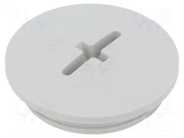 BM GROUP Tapón M40 métrico IP56 gris claro