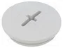 BM GROUP Tapón M40 métrico IP56 gris claro