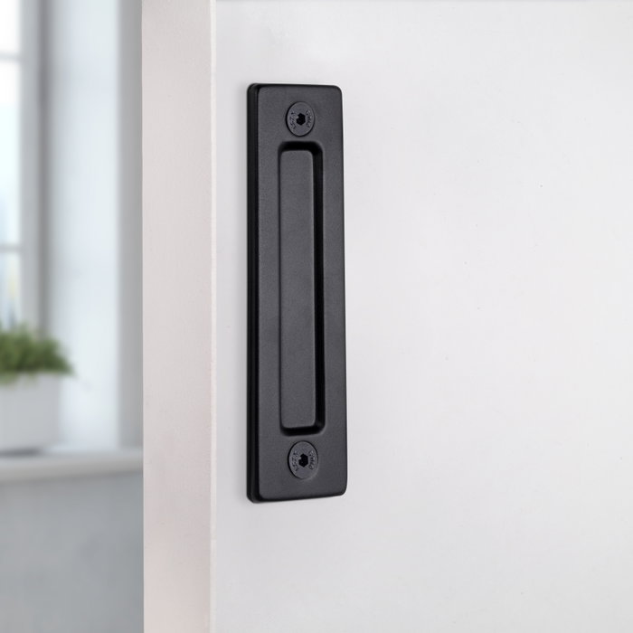 Emuca Tirador para puertas correderas colgadas de madera Pasadena, Longitud 240 mm, Intereje 180 mm, Acero, Negro texturizado Emuca Tirador para puertas correderas colgadas de madera Pasadena, Longitud 240 mm, Intereje 180 mm, Acero, Negro texturizado