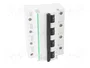 SCHNEIDER ELECTRIC Interruptor magnetotérmico ACTI9 C120N 4 polos 100A