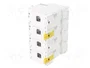 SCHNEIDER ELECTRIC Interruptor magnetotérmico ACTI9 C120N 4 polos 100A
