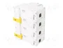 SCHNEIDER ELECTRIC Interruptor magnetotérmico ACTI9 C120N 4 polos 100A