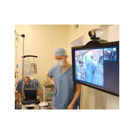 Ergotron Interactive Arm HD para 30-55 pulgadas Ergotron Interactive Arm HD para 30-55 pulgadas