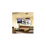 Ergotron Interactive Arm HD para 30-55 pulgadas