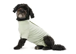 Kruuse Body Suit Para Perro Buster Step Go Verde S 1 Unidad Bambú