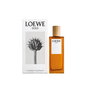 Perfume Hombre Loewe Solo EDT 75 ml