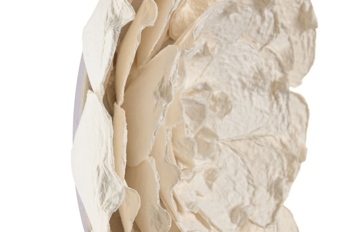 DKD Home Decor Decoración de Pared Papel Maché Flor Surtido de 2, Blanco