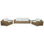 DKD Home Decor Conjunto de Sofá de 4 Piezas en Ratán Sintético y Olefin Marrón Claro/Beige