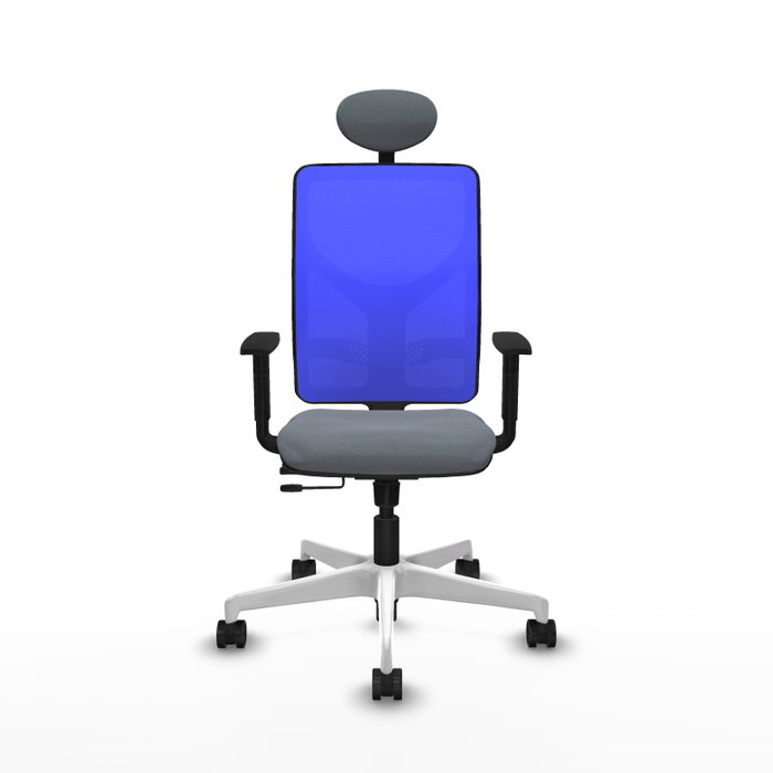 PIQUERAS Y CRESPO Silla de oficina Motilla con mecanismo Sincro/Traslack, Gris y Azul