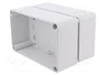 ELEKTRO-PLAST NASIELSK Carcasa Industrial Universal Gris IP65
