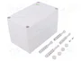 ELEKTRO-PLAST NASIELSK Carcasa Industrial Universal Gris IP65