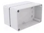ELEKTRO-PLAST NASIELSK Carcasa Industrial Universal Gris IP65