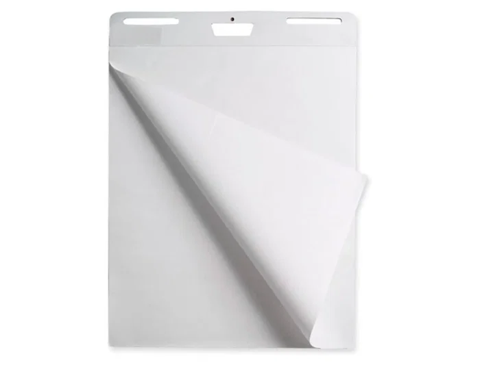 Liderpapel Bloc Congreso para Pizarra - 25+5 Hojas - Papel Liso 80 g/m² - 630 x 840 mm (63x84 cm)