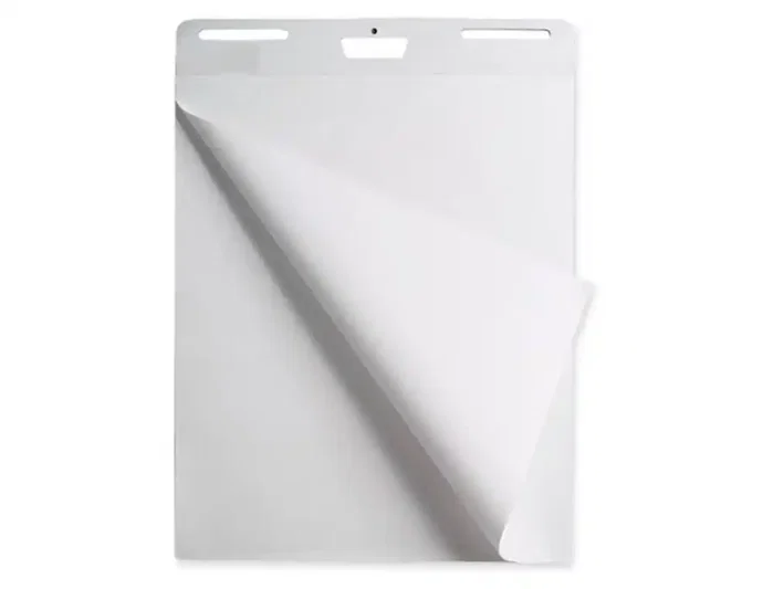Liderpapel Bloc Congreso para Pizarra - 25+5 Hojas - Papel Liso 80 g/m² - 630 x 840 mm (63x84 cm)