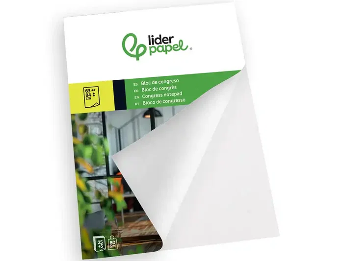 Liderpapel Bloc Congreso para Pizarra - 25+5 Hojas - Papel Liso 80 g/m² - 630 x 840 mm (63x84 cm)