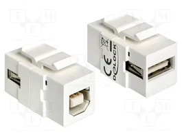 DeLOCK 86320 Módulo Keystone USB 2.0 A a USB 2.0 B Blanco