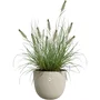 ELHO Maceta Sereh Round 60, 110 litros, Ø 59 x H 51 cm, color beige, interior y exterior