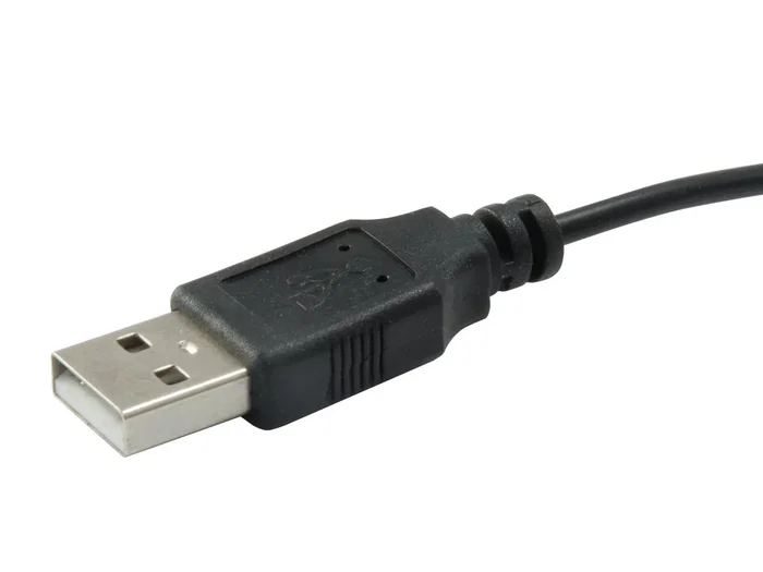 Conceptronic REGAS01B Ratón Óptico USB 1200 DPI para Oficina, Ambidextro, Color Negro, con Interruptor DPI (800/1000/1200), Plug and Play, Acabado en Goma