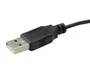 Conceptronic REGAS01B Ratón Óptico USB 1200 DPI para Oficina, Ambidextro, Color Negro, con Interruptor DPI (800/1000/1200), Plug and Play, Acabado en Goma