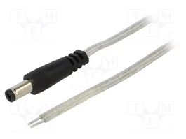 BQ CABLE Cable de alimentación plano DC 5,5/2,5 de 0,25m