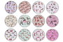 DKD Home Decor Posavasos de Dolomita Perrito Multicolor