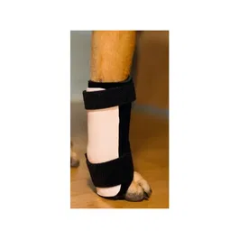 DMC 200063 Kit Férula Carpo Flex Talla L Izquierda