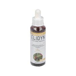 ELIDYN PINE 20ml