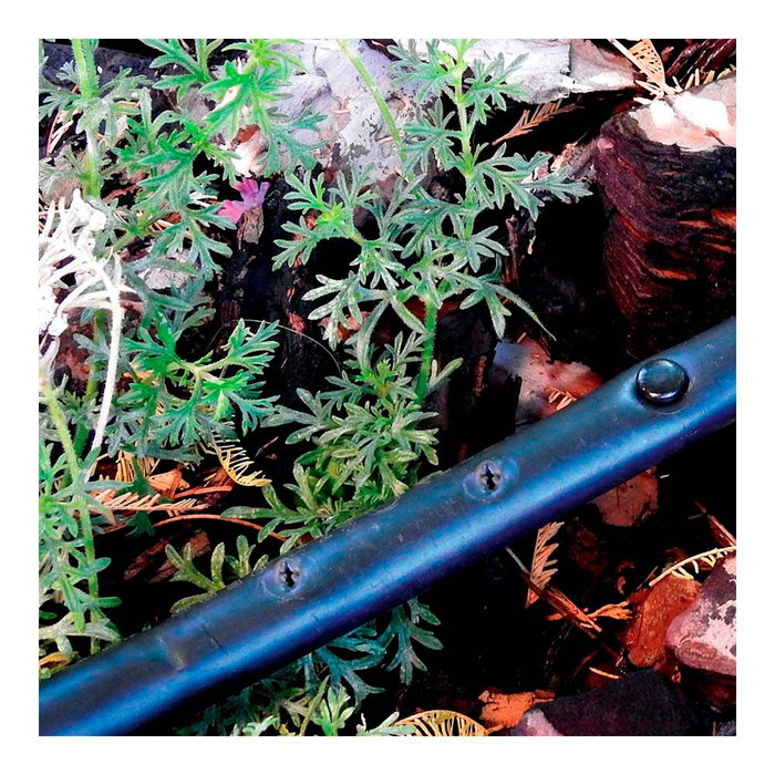 Blue Bird-Altadex Tapón 4 mm, 10 uds, Polipropileno, Anti UV, Conexiones Micro Riego