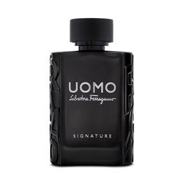 Uomo Signature, Eau De Parfum, For Men, 100 ml