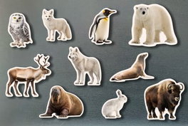 NOWORDBOOKS SCP, Magnéticos animales polares