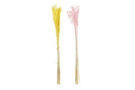 DKD Home Decor Rama Flor Seca con Avena Surtida 8x3x63 cm