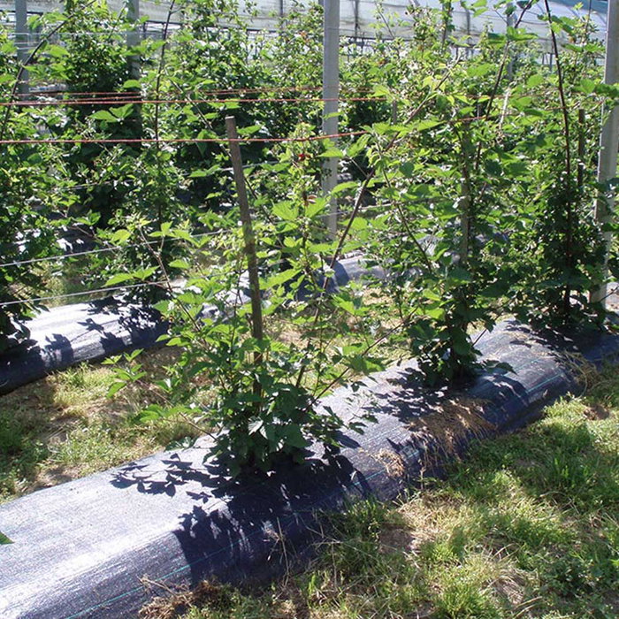 Faura Malla Anti-Hierba Negra 100 g/m², 1 x 100 m - Protección Anti-UV, Tela Geotextil para Jardín Faura Malla Anti-Hierba Negra 100 g/m², 1 x 100 m - Protección Anti-UV, Tela Geotextil para Jardín