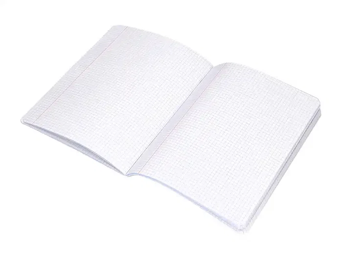 Liderpapel Scriptus A5 Plus Cuadriculada 4mm con Margen, 48 Hojas