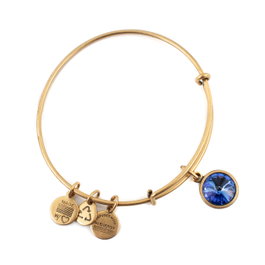 Alex And Ani Pulsera Azul con Detalles Brillantes A12EB248RG
