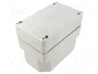 SPELSBERG TK PC Carcasa Universal Gris IP66