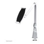 Newstar Soporte de escritorio para tablet D100, color silver