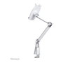 Newstar Soporte de escritorio para tablet D100, color silver