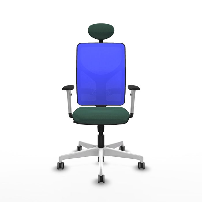 PIQUERAS Y CRESPO Silla de oficina Motilla con mecanismo Sincro, Verde botella y Azul PIQUERAS Y CRESPO Silla de oficina Motilla con mecanismo Sincro, Verde botella y Azul