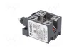 PIZZATO ELETTRICA Interruptor de fin de carrera émbolo de metal NO + NC 10A