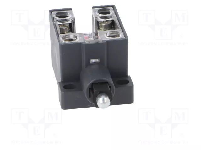 PIZZATO ELETTRICA Interruptor de fin de carrera émbolo de metal NO + NC 10A
