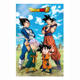 Sd Toys Póster 3D Dragon Ball Super Battle of Gods 58x38 cm