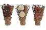 DKD Home Decor Planta de Flor Seca y Papel Surtido 15x8x25 cm