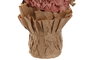 DKD Home Decor Planta de Flor Seca y Papel Surtido 15x8x25 cm
