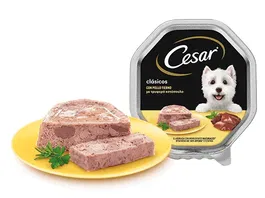 Mars Cesar Bulkpack Pollo 20+8x150 gr