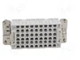 ILME Conector HDC JDS de 27 pines hembra