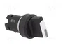 Siemens 3SU10022BF600AA0 Knebelschalter Iluminado 22mm Negro y Blanco