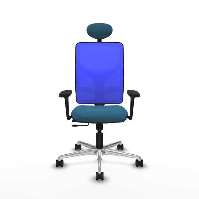 PIQUERAS Y CRESPO Silla de oficina Motilla con mecanismo Sincro/Traslack, Verde petróleo y Azul PIQUERAS Y CRESPO Silla de oficina Motilla con mecanismo Sincro/Traslack, Verde petróleo y Azul